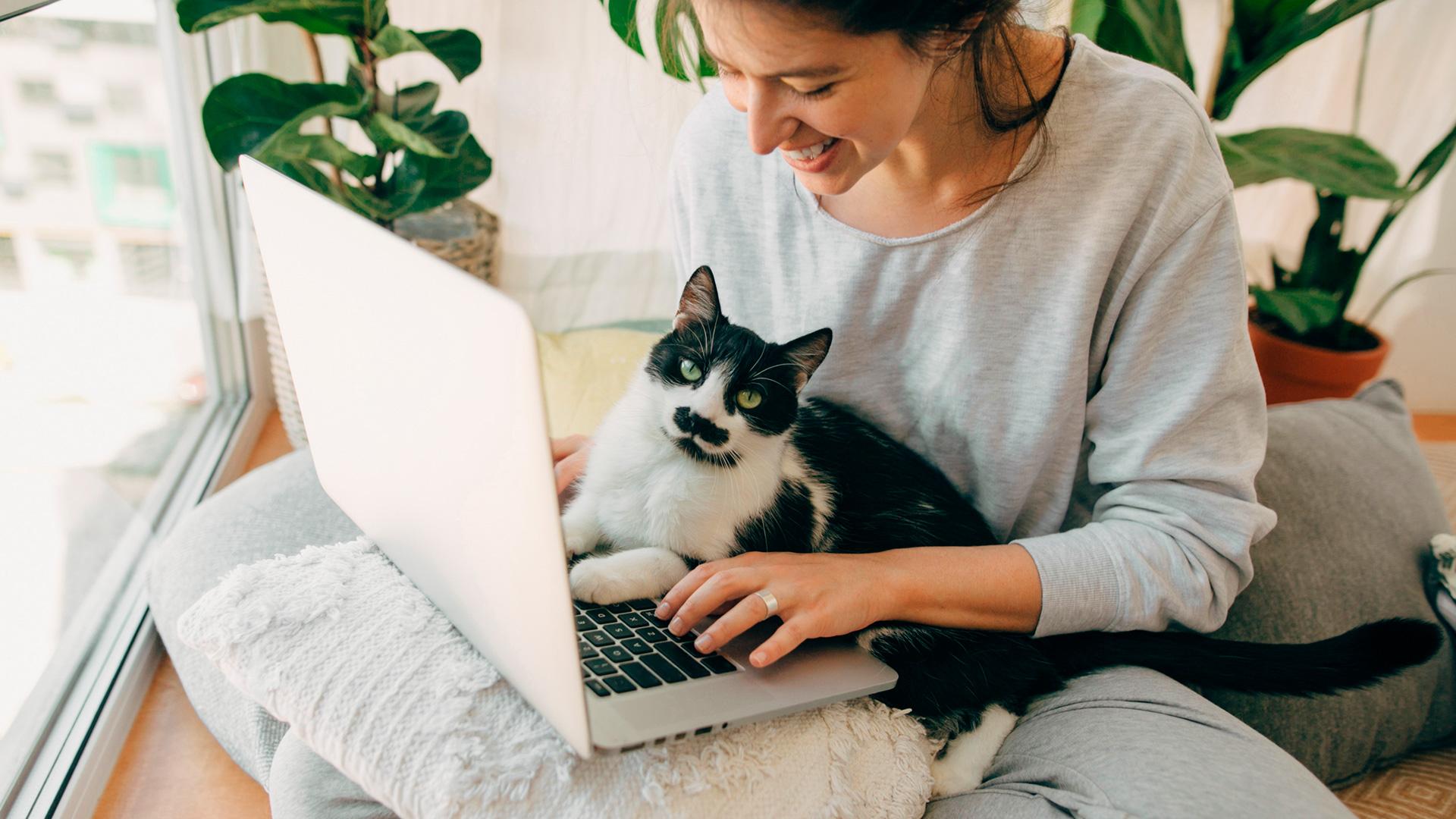 1920x1080_assurance_animaux_femme_chat-ordinateur_4.jpg